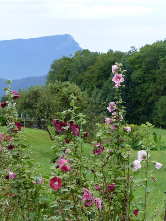 Au Coeur De La Campagne - Gite Non Loins D'Annecy- A 17 Min D'Annecy - Tout Pret D'Aix Les Bains Saint-Girod Exterior photo